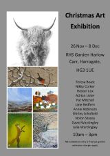 RHS Garden Harlow Carr Christmas Art Exhibition