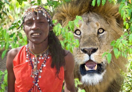 Masai Warrior & Lion