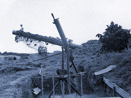 Sitting on the Mirus gun barrel.
