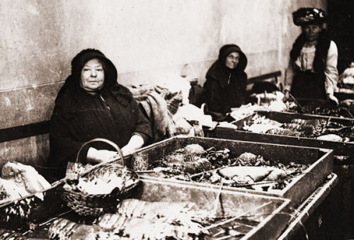 The Guernsey Fish Market