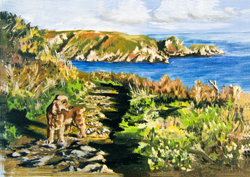 Jasper, on the cliffs, Guernsey.