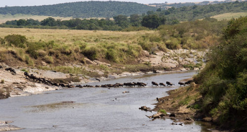 Crossing the Mara.
