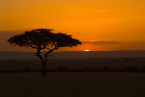 Mara Sunset