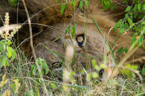 I'm watching you.