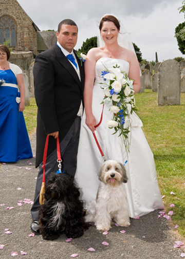 The bride and groom with their dogs.