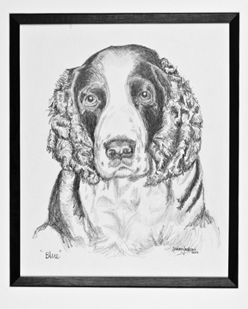 Pencil Portrait of 'Blue'