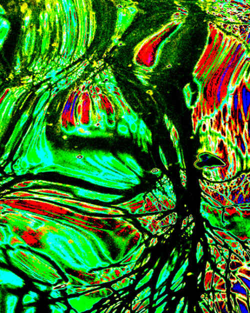 Solarized pond abstract