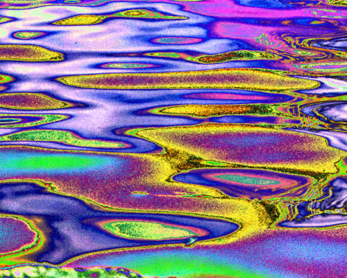 Solarized pond reflection.