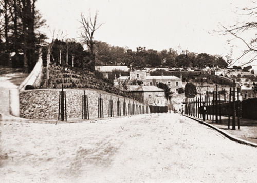 St Julian's Avenue from Anns Place.