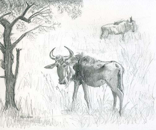 The Wildebeest