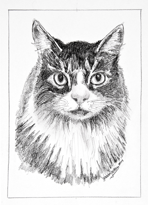 'Willow', a pencil portrait.