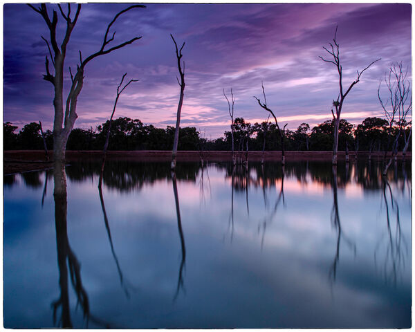 Tranquility