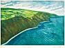 Somerset Printmakers