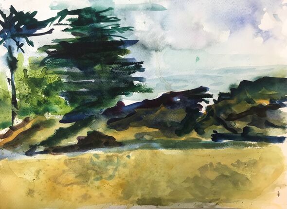 Sardinian Tress. Pastel 30 x 40 cms  2023 £350