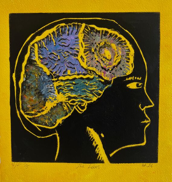 Brain Lobes