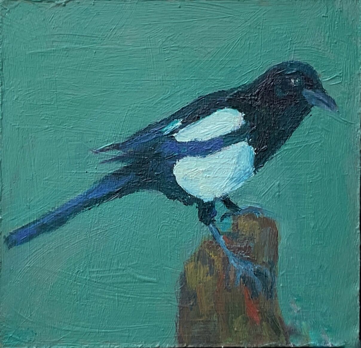 Magpie