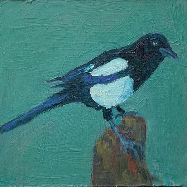 Magpie