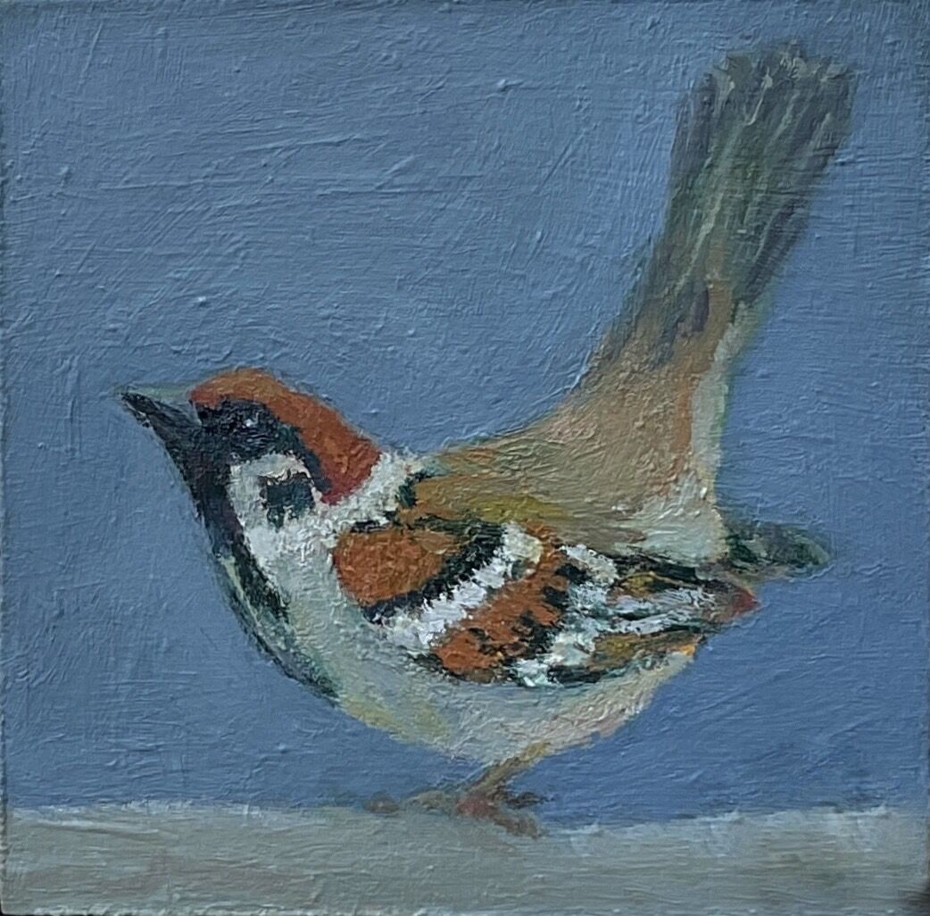 Sparrow