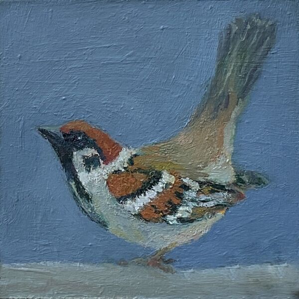 Sparrow