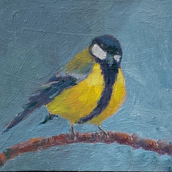 Great tit - 12.7 x 12.7 cm