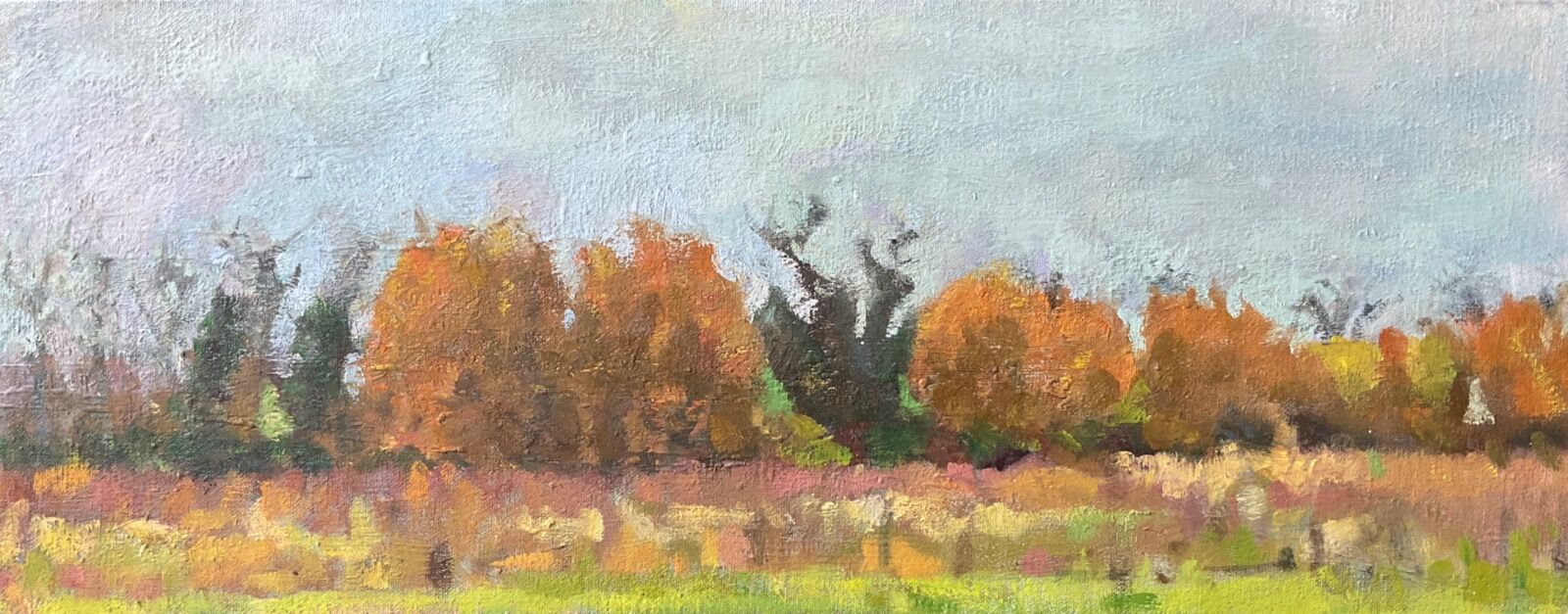 Across the Fields