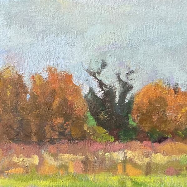 Across the Fields