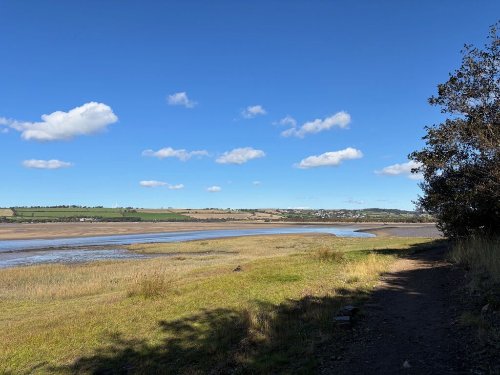 Fremington  at very low tide