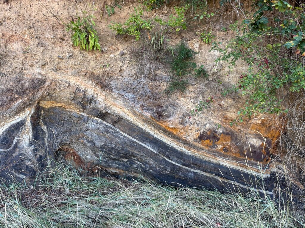 Rock formation at Fremington