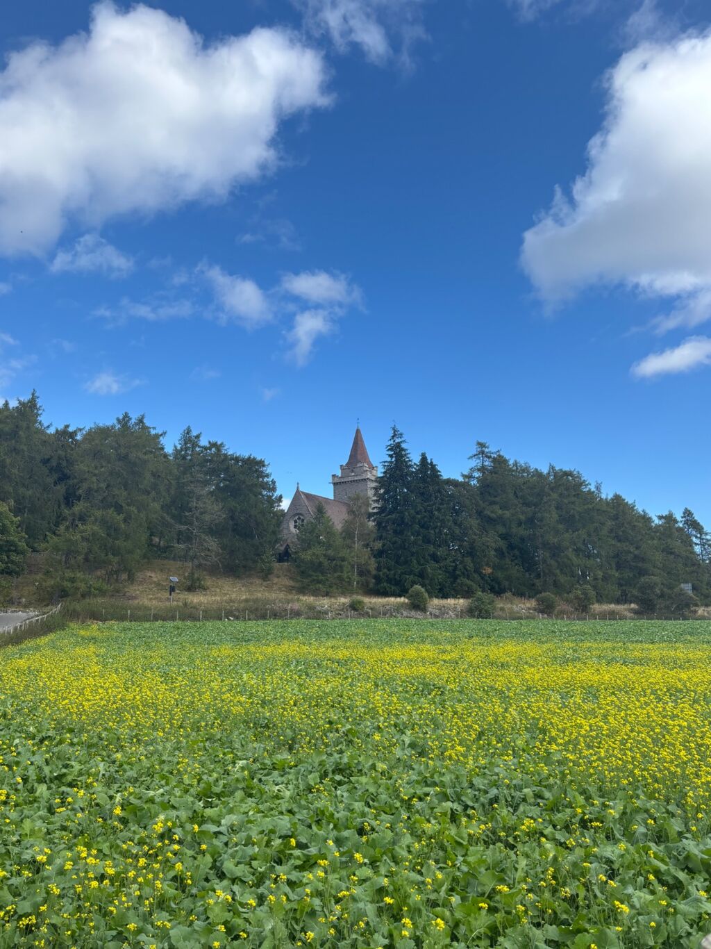 Crathie Kirk Aberdeenshire behind a field of rapeseed