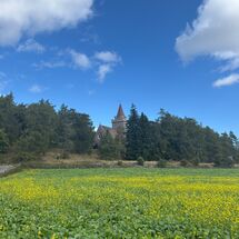 Crathie Kirk Aberdeenshire behind a field of rapeseed