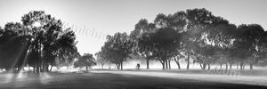 Brisk Brisk Landscape Photography Print