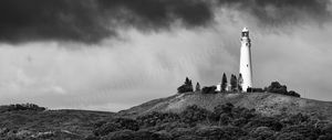 Wadjemup Wadjemup Landscape Photography Print