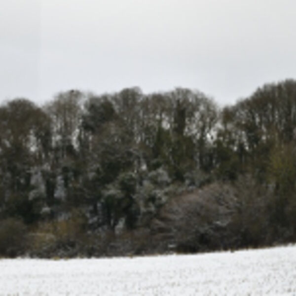 Viaduct Panoramic