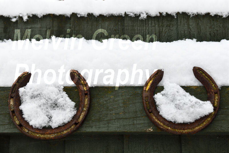Horseshoes in the Snow