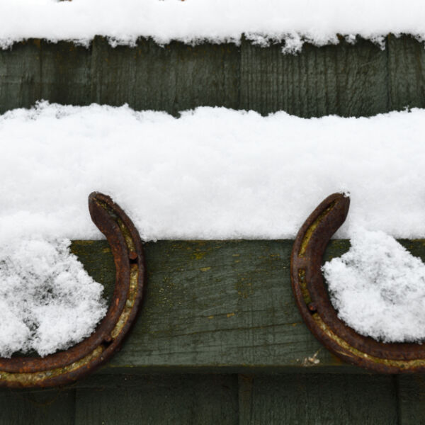 Horseshoes in the Snow