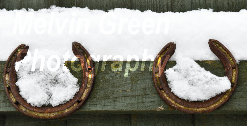 Horseshoes in the Snow