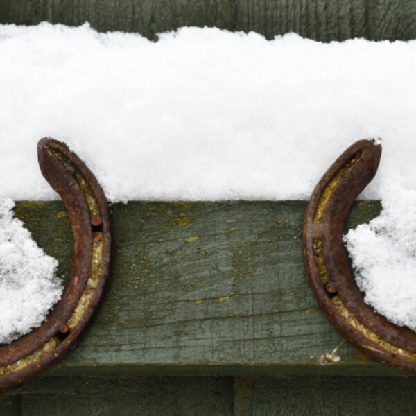 Horseshoes in the Snow