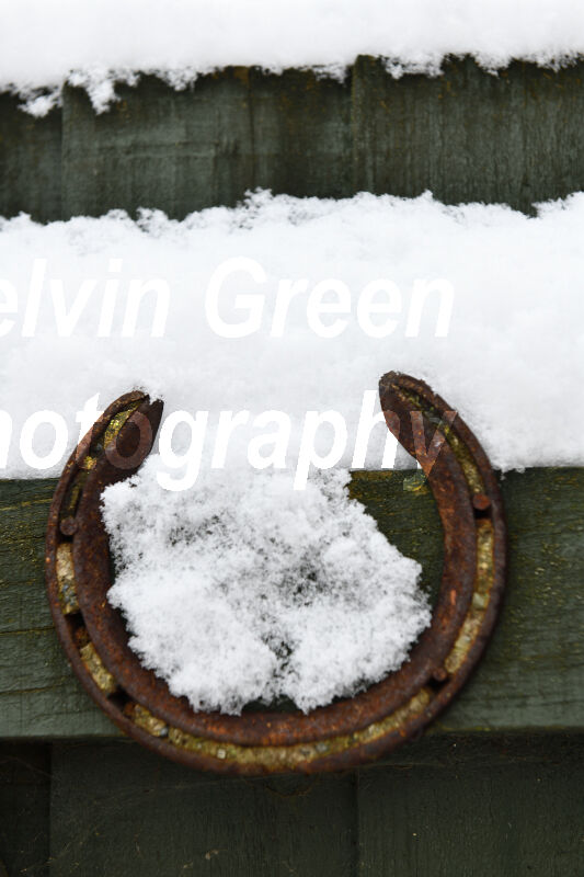 Horseshoe in the Snow
