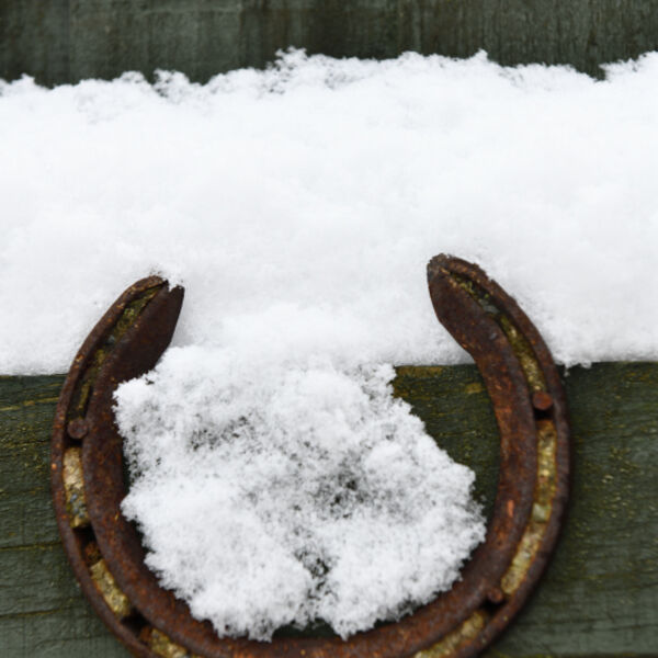 Horseshoe in the Snow