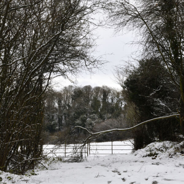 Countryside with Gateway