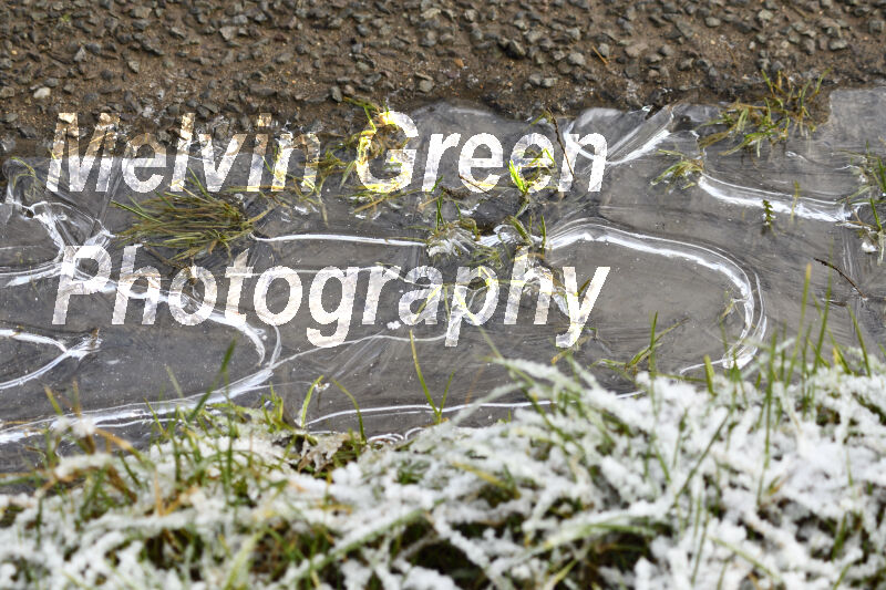 Frozen Ice