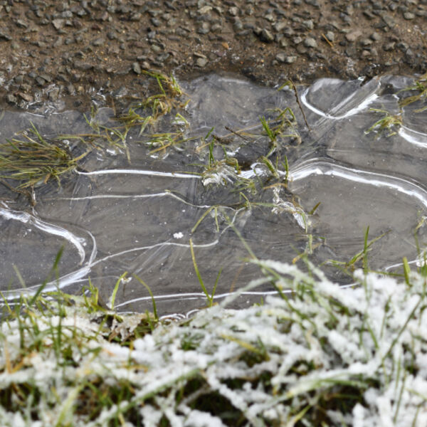 Frozen Ice
