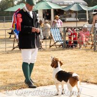 Bassetts
