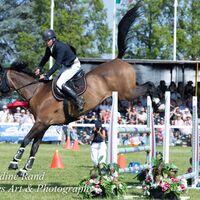 2026 Royal Norfolk 342-