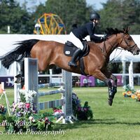 2026 Royal Norfolk 344-