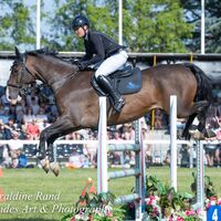 2026 Royal Norfolk 352-