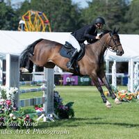 2026 Royal Norfolk 354-