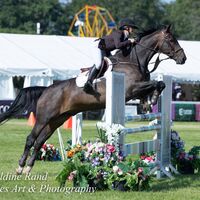 2026 Royal Norfolk 360-
