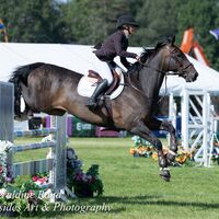 2026 Royal Norfolk 361-