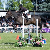 2026 Royal Norfolk 362-